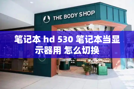 笔记本 hd 530 笔记本当显示器用 怎么切换-第1张图片-星选测评
