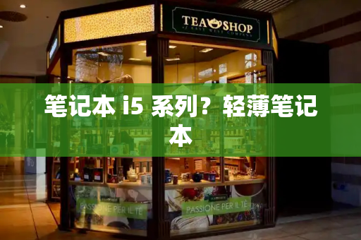 笔记本 i5 系列？轻薄笔记本