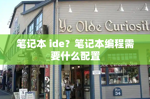 笔记本 ide？笔记本编程需要什么配置-第1张图片-星选测评