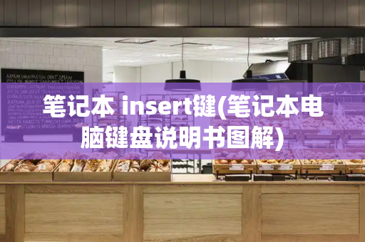 笔记本 insert键(笔记本电脑键盘说明书图解)