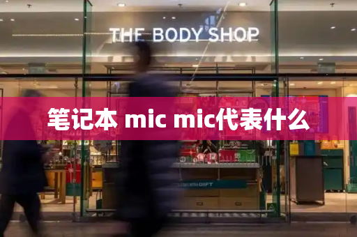 笔记本 mic mic代表什么