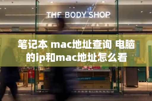 笔记本 mac地址查询 电脑的ip和mac地址怎么看-第1张图片-星选测评