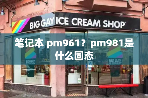 笔记本 pm961？pm981是什么固态