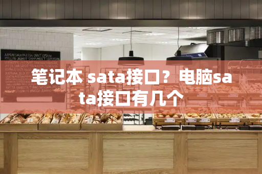 笔记本 sata接口？电脑sata接口有几个