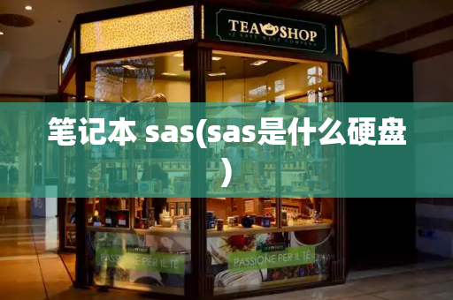 笔记本 sas(sas是什么硬盘)-第1张图片-星选测评