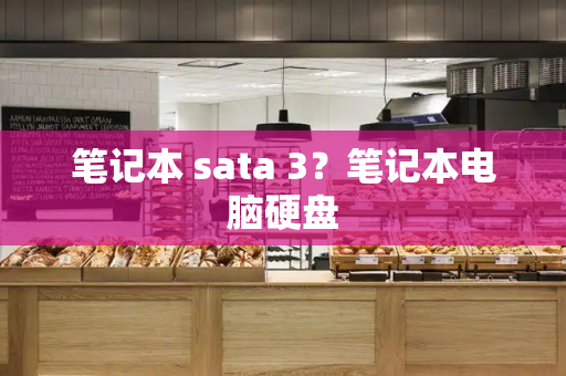 笔记本 sata 3？笔记本电脑硬盘-第1张图片-星选测评