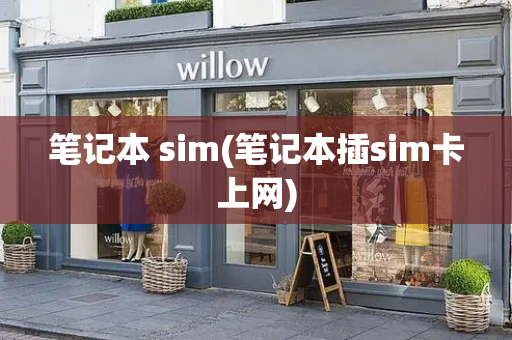 笔记本 sim(笔记本插sim卡上网)
