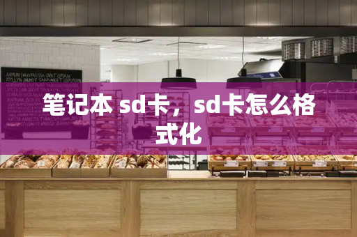 笔记本 sd卡，sd卡怎么格式化