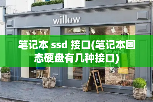 笔记本 ssd 接口(笔记本固态硬盘有几种接口)-第1张图片-星选测评