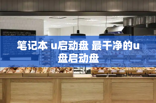笔记本 u启动盘 最干净的u盘启动盘