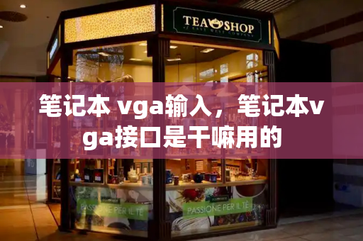 笔记本 vga输入，笔记本vga接口是干嘛用的-第1张图片-星选测评