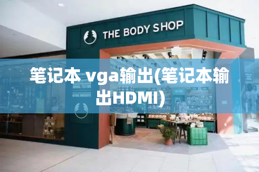 笔记本 vga输出(笔记本输出HDMI)-第1张图片-星选测评