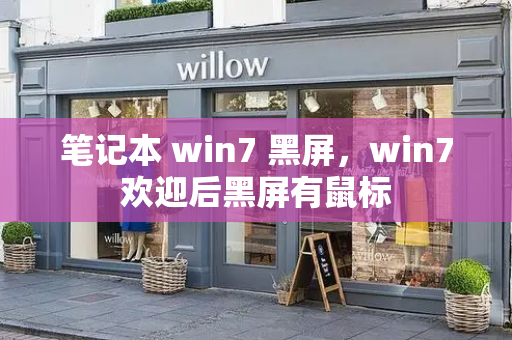 笔记本 win7 黑屏，win7欢迎后黑屏有鼠标