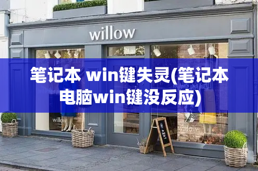 笔记本 win键失灵(笔记本电脑win键没反应)