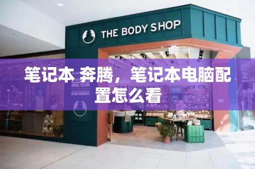 笔记本 奔腾，笔记本电脑配置怎么看-第1张图片-星选测评