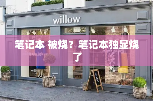 笔记本 被烧？笔记本独显烧了-第1张图片-星选测评