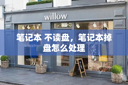 笔记本 不读盘，笔记本掉盘怎么处理-第1张图片-星选测评