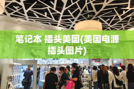 笔记本 插头美国(美国电源插头图片)