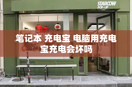 笔记本 充电宝 电脑用充电宝充电会坏吗-第1张图片-星选测评