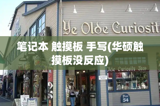 笔记本 触摸板 手写(华硕触摸板没反应)