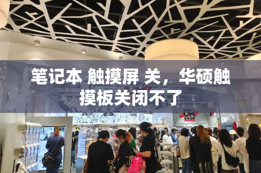 笔记本 触摸屏 关，华硕触摸板关闭不了-第1张图片-星选测评