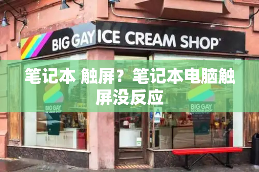 笔记本 触屏？笔记本电脑触屏没反应-第1张图片-星选测评