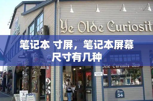 笔记本 寸屏，笔记本屏幕尺寸有几种
