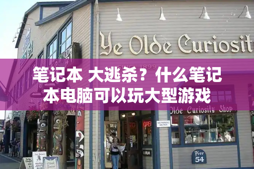 笔记本 大逃杀？什么笔记本电脑可以玩大型游戏-第1张图片-星选测评