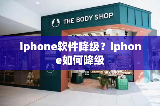 iphone软件降级？iphone如何降级-第1张图片-星选测评