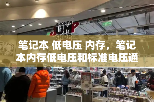 笔记本 低电压 内存，笔记本内存低电压和标准电压通用吗-第1张图片-星选测评