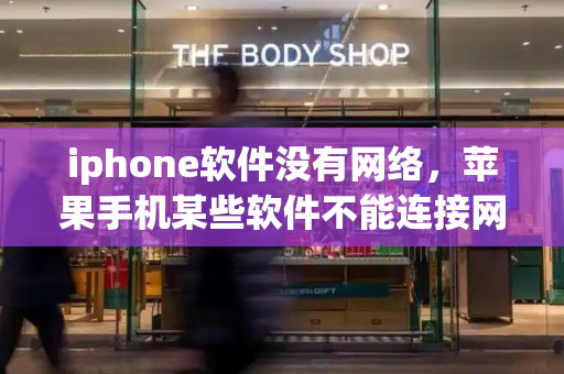 iphone软件没有网络，苹果手机某些软件不能连接网络