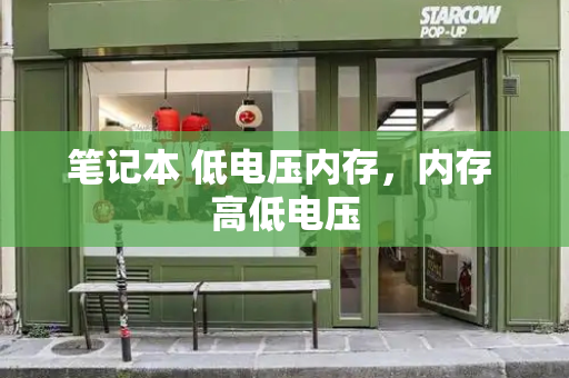 笔记本 低电压内存，内存 高低电压