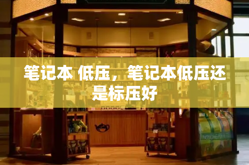 笔记本 低压，笔记本低压还是标压好