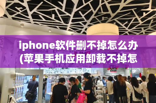 iphone软件删不掉怎么办(苹果手机应用卸载不掉怎么办)