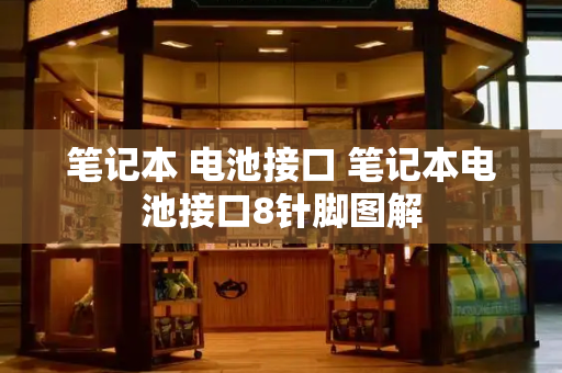 笔记本 电池接口 笔记本电池接口8针脚图解-第1张图片-星选测评