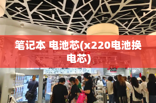 笔记本 电池芯(x220电池换电芯)-第1张图片-星选测评
