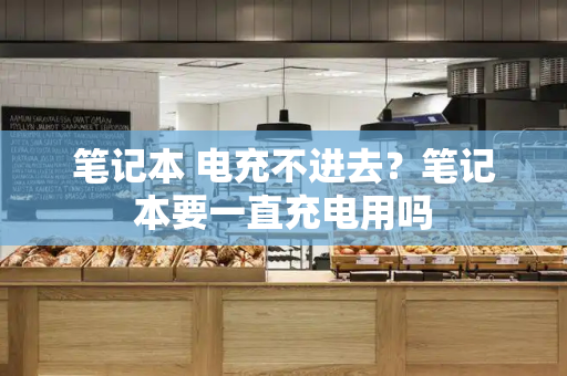 笔记本 电充不进去？笔记本要一直充电用吗