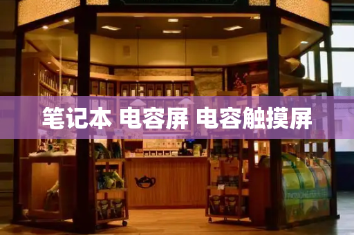 笔记本 电容屏 电容触摸屏