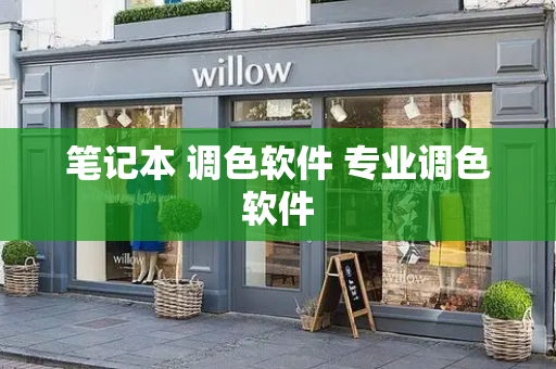 笔记本 调色软件 专业调色软件
