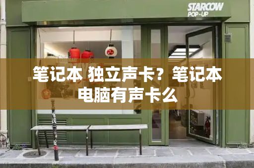 笔记本 独立声卡？笔记本电脑有声卡么