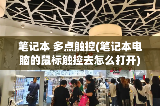 笔记本 多点触控(笔记本电脑的鼠标触控去怎么打开)-第1张图片-星选测评
