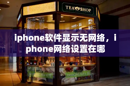 iphone软件显示无网络，iphone网络设置在哪