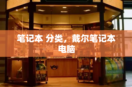 笔记本 分类，戴尔笔记本电脑-第1张图片-星选测评