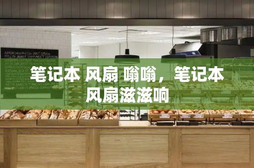 笔记本 风扇 嗡嗡，笔记本风扇滋滋响-第1张图片-星选测评