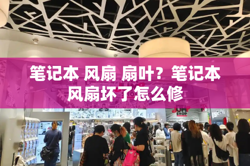 笔记本 风扇 扇叶？笔记本风扇坏了怎么修
