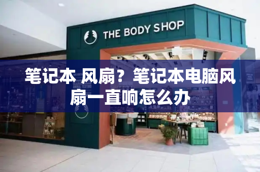 笔记本 风扇？笔记本电脑风扇一直响怎么办