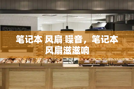 笔记本 风扇 噪音，笔记本风扇滋滋响