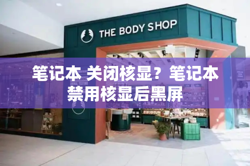 笔记本 关闭核显？笔记本禁用核显后黑屏-第1张图片-星选测评