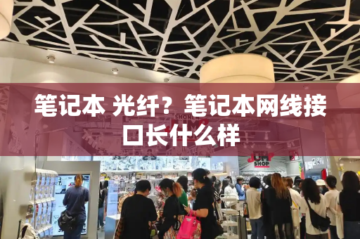 笔记本 光纤？笔记本网线接口长什么样-第1张图片-星选测评