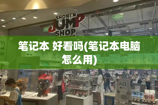 笔记本 好看吗(笔记本电脑怎么用)-第1张图片-星选测评
